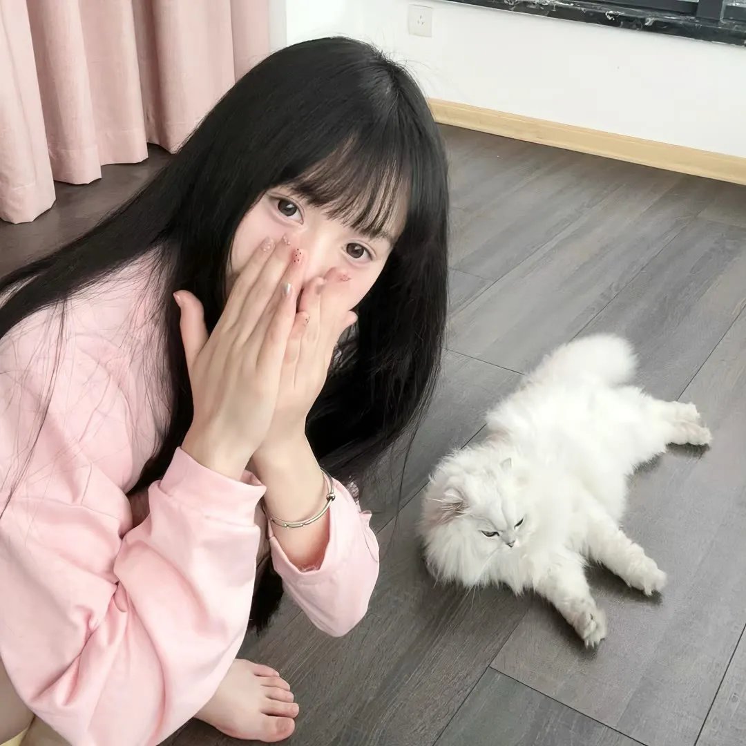 你好安妮