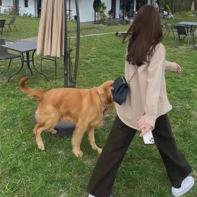 放声大笑